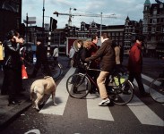 Crossing Amsterdam Crossing Amsterdam