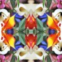Serie Flowers Power Kunstwerk Serie Flowers Power