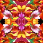 Seire Flowers Power: Fire Heart Seire Flowers Power: Fire Heart