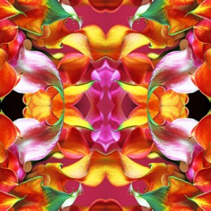 Seire Flowers Power: Fire Heart Seire Flowers Power: Fire Heart