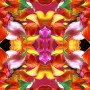 Seire Flowers Power: Fire Heart Kunstwerk Seire Flowers Power: Fire Heart