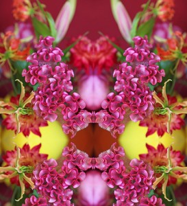 Serie Flowers power: Sexy Panty Serie Flowers power: Sexy Panty