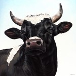 Stier 8049 Stier 8049