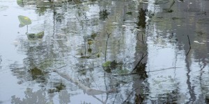 Spiegelingen III Spiegelingen III
