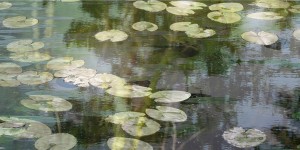 Spiegelingen IV Spiegelingen IV