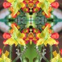Green Marsian Kunstwerk Green Marsian