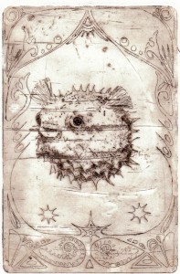 Pufferfish Pufferfish