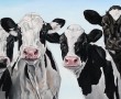 Zes jonge koeien Kunstwerk Zes jonge koeien