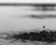 Untitled Soundscape #2 Kunstwerk Untitled Soundscape #2