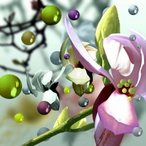 Springtime Springtime