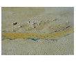 Wad6 Kunstwerk Wad6