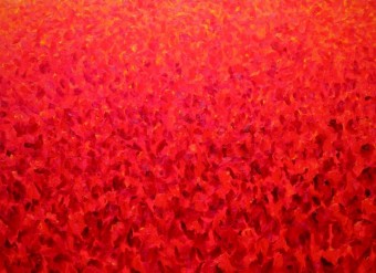 groot rood tulpenveld groot rood tulpenveld