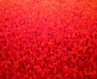 Kunstwerk groot rood tulpenveld