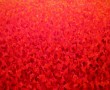 groot rood tulpenveld Kunstwerk groot rood tulpenveld
