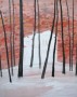 The woods 3 Kunstwerk The woods 3