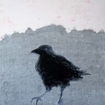 Bird Bird
