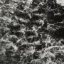 sea |sē| Kunstwerk sea |sē|