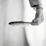 trout |trout| trout |trout|