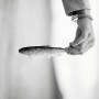 trout |trout| Kunstwerk trout |trout|