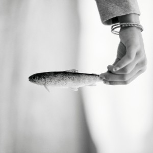 trout |trout| trout |trout|