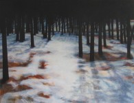 1000 Bomen Bos 1000 Bomen Bos