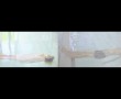 Swimming Kunstwerk Swimming