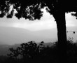 Toscana |tôˈskänä| Kunstwerk Toscana |tôˈskänä|