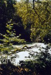 2012-0506 2012-0506