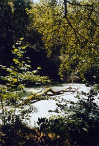 2012-0506 2012-0506