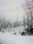 treinlandschap 4 treinlandschap 4