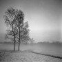 0488-01  1964 Kunstwerk 0488-01  1964