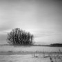 0491-07  1964 Kunstwerk 0491-07  1964
