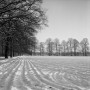 0490-07  1964 Kunstwerk 0490-07  1964