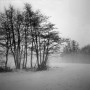 0487-02  1964 Kunstwerk 0487-02  1964