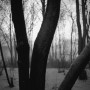 0487-08  1964 Kunstwerk 0487-08  1964
