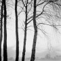 0491-09  1964 Kunstwerk 0491-09  1964