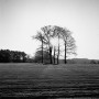 0490-06  1964 Kunstwerk 0490-06  1964