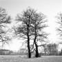 0490-09  1964 Kunstwerk 0490-09  1964