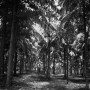 0490-01  1964 Kunstwerk 0490-01  1964