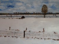 Wintermaas Wintermaas