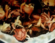 Rozen I Rozen I