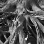 0004-04  1956 Kunstwerk 0004-04  1956
