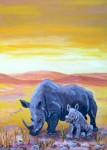 Neushoorn met jong Neushoorn met jong