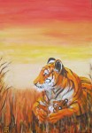 Tijger met jong Tijger met jong