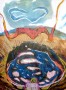 Intuitie Kunstwerk Intuitie
