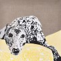 Athena - Portrait of a Greyhound 1 Kunstwerk Athena - Portrait of a Greyhound 1