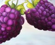 Framboosjes Kunstwerk Framboosjes