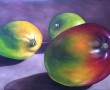 Mango's Kunstwerk Mango's