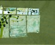 Natuurfragmenten Kunstwerk Natuurfragmenten
