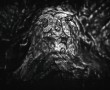 cover |ˈkəvər| Kunstwerk cover |ˈkəvər|